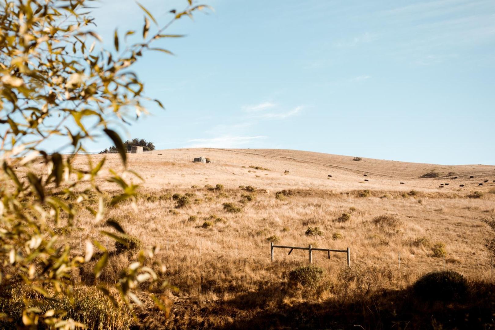 Sonoma Coast Villa Bodega Экстерьер фото